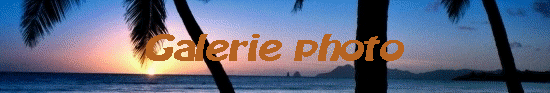 Galerie photo
