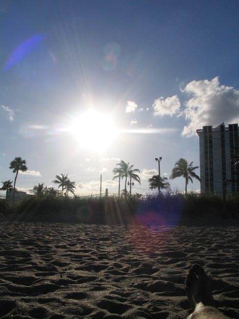 17. Sun