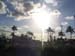 29. Sun