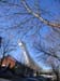 Montreal (01)