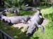 003_Busch Gardens