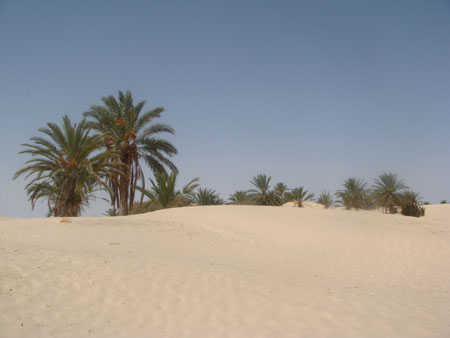 Tunisie 2008 231