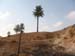Tunisie 2008 152