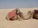 Tunisie 2008 206