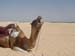 Tunisie 2008 207