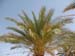 Tunisie 2008 230