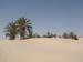 Tunisie 2008 231